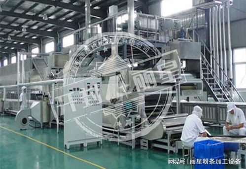 机械化加工粉条的优势、常见问题及解决方案全解析